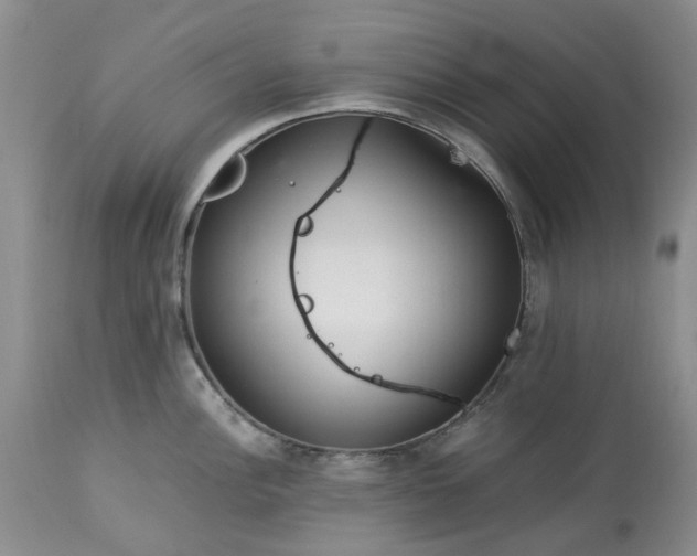 X0000113561148200910021549