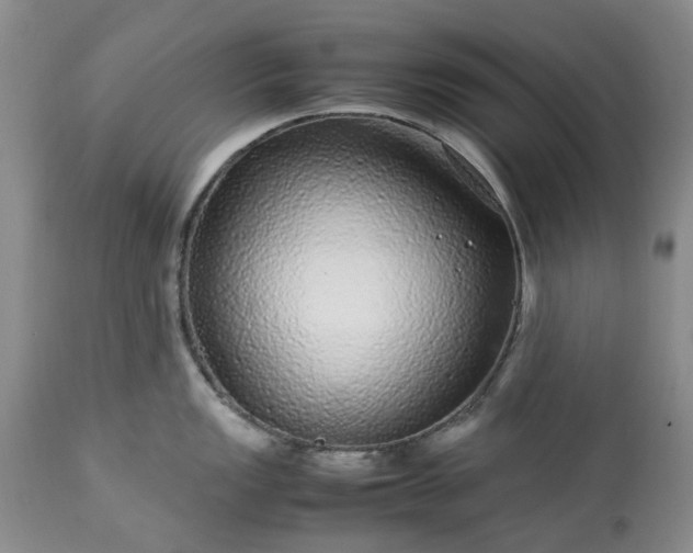 X0000113561149200910021549