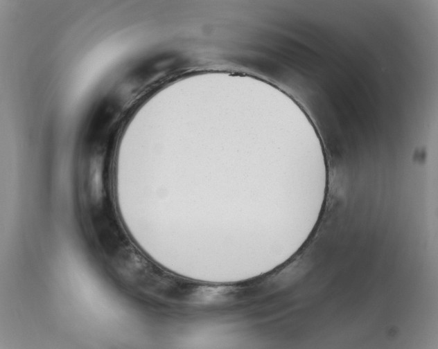 X0000113561150200910021549