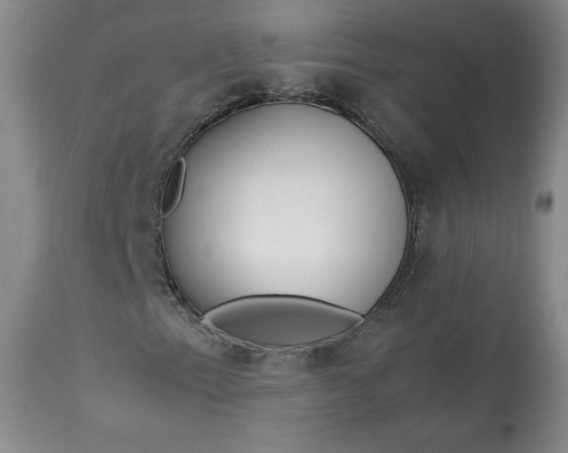 X0000113561153200910021548