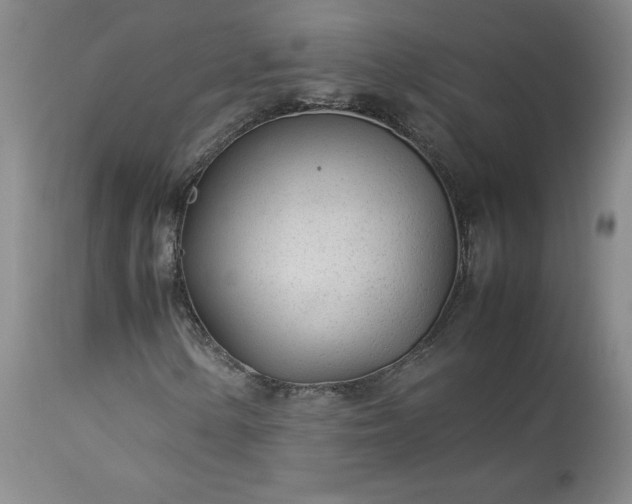 X0000113561154200910021548