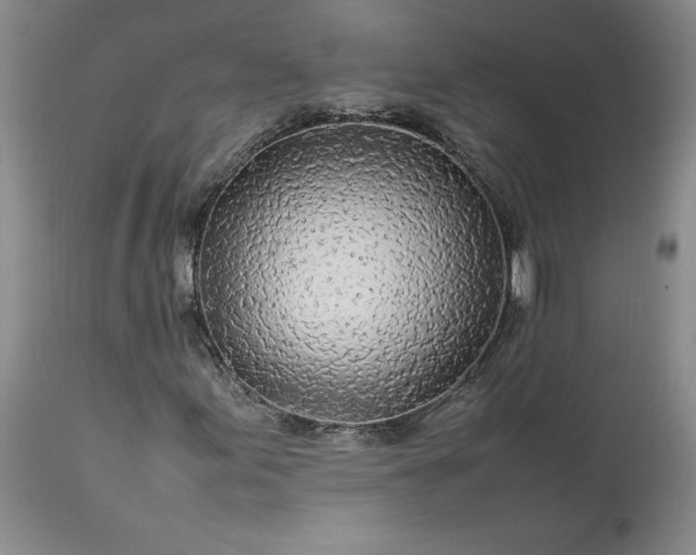 X0000113561155200910021548