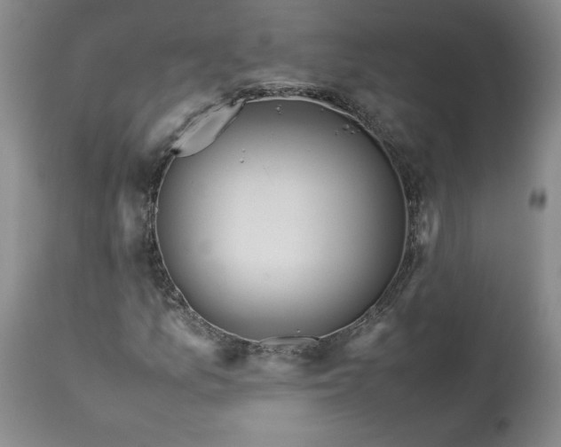 X0000113561157200910021548