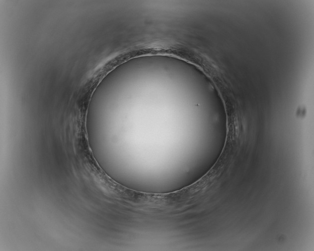X0000113561158200910021548