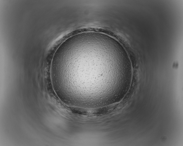 X0000113561159200910021548