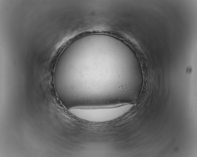 X0000113561160200910021548