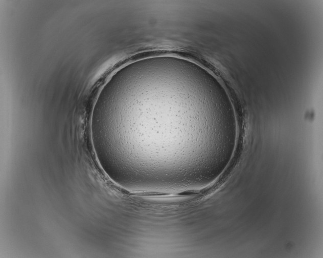 X0000113561163200910021548