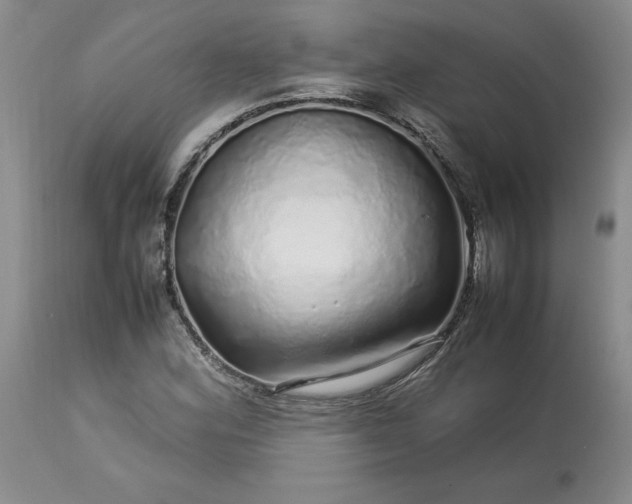 X0000113561164200910021548