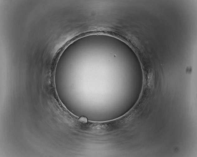 X0000113561165200910021548