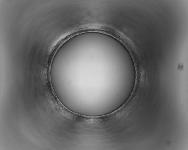 X0000113561166200910021548