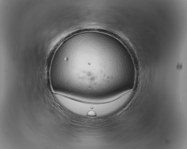 X0000113561167200910021548