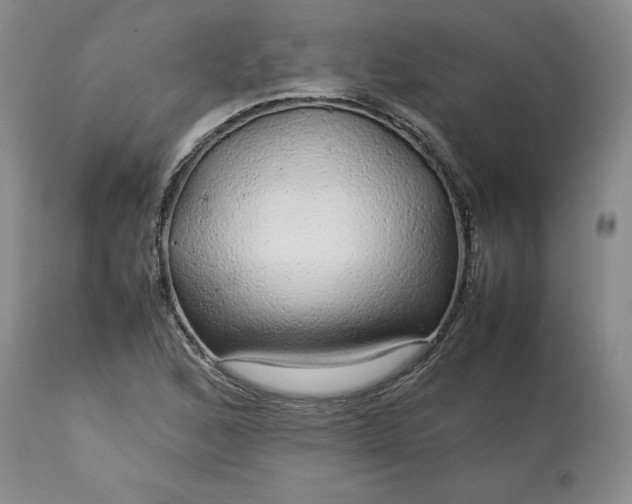 X0000113561168200910021548