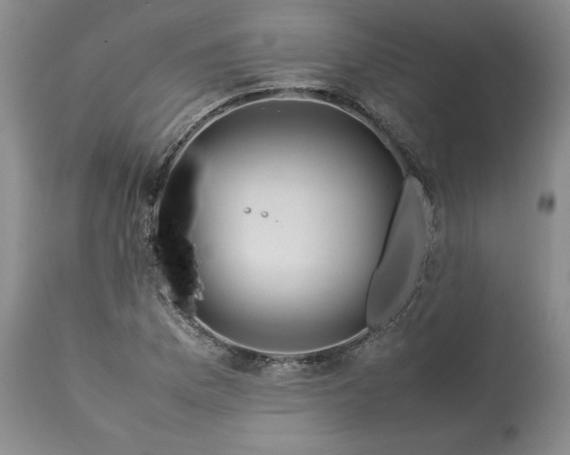 X0000113561169200910021548