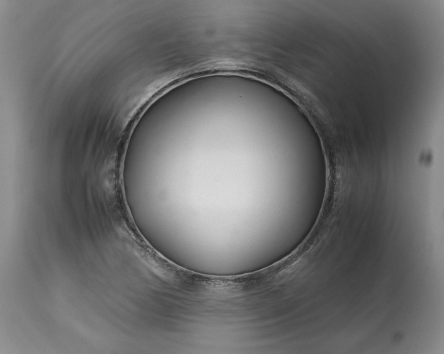 X0000113561170200910021548