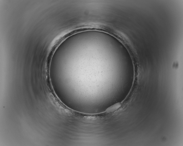 X0000113561172200910021548