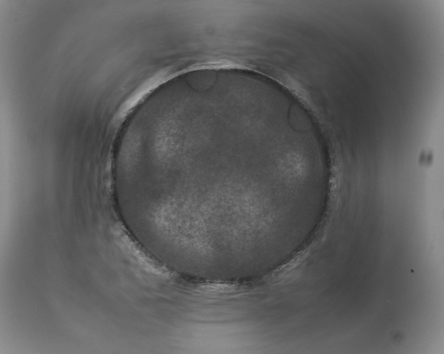 X0000113561173200910021548
