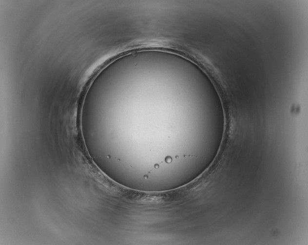 X0000113561174200910021548
