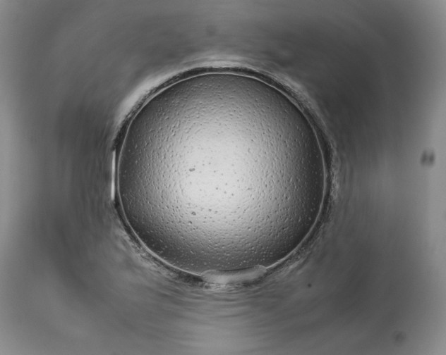 X0000113561175200910021548