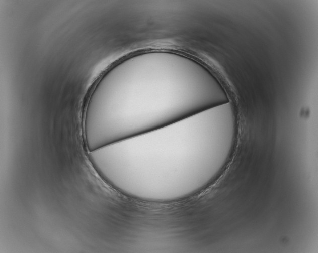 X0000113561176200910021548