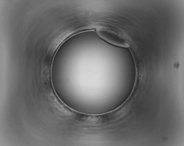 X0000113561177200910021548