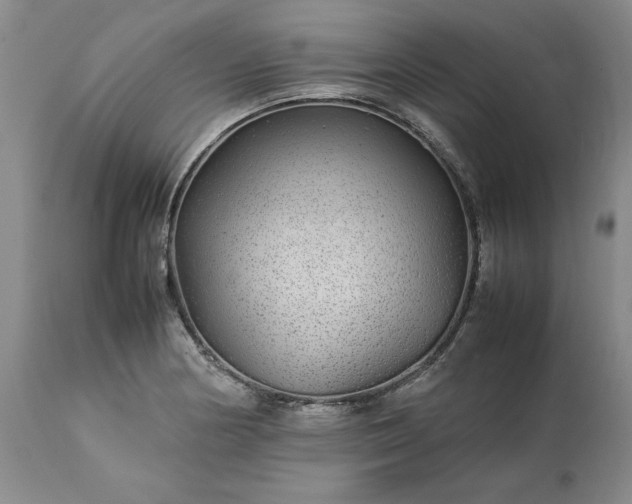 X0000113561178200910021548