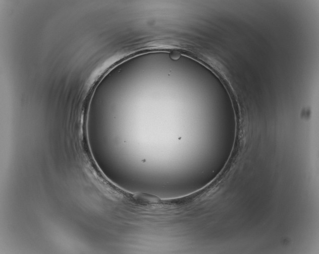 X0000113561179200910021548