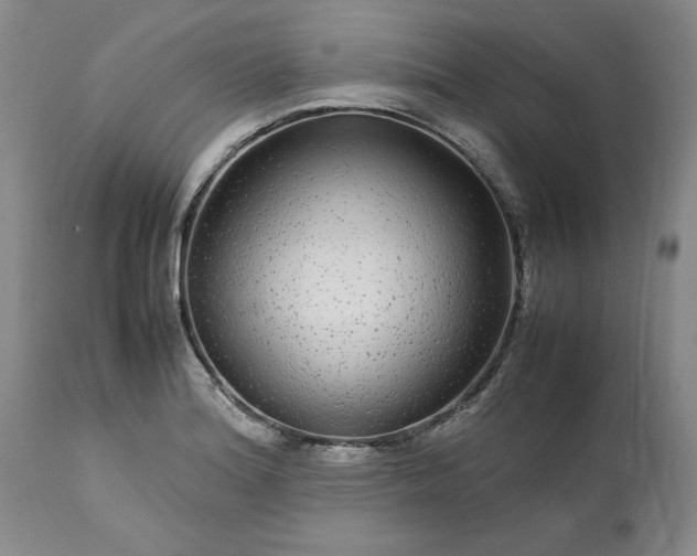 X0000113561180200910021548