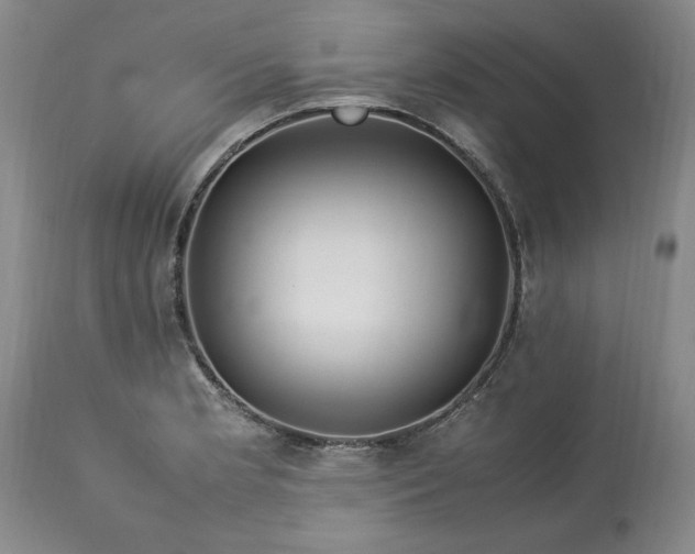X0000113561181200910021548