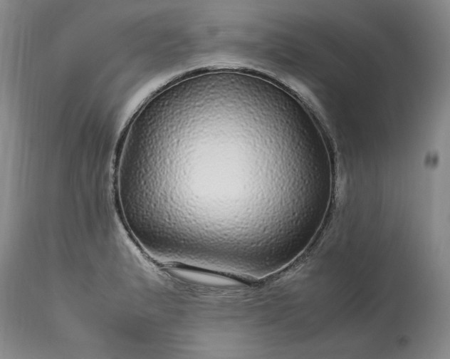 X0000113561183200910021548