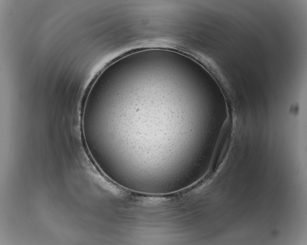 X0000113561184200910021548