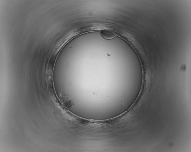 X0000113561185200910021548