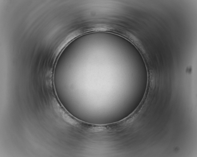X0000113561186200910021548