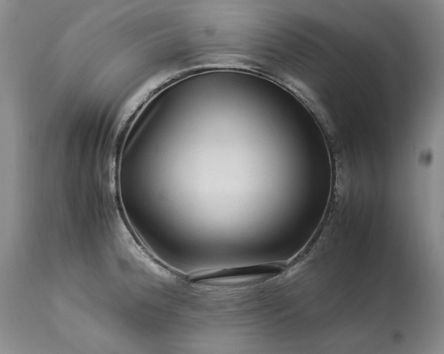 X0000113561188200910021547