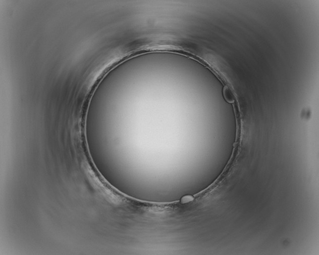 X0000113561189200910021547
