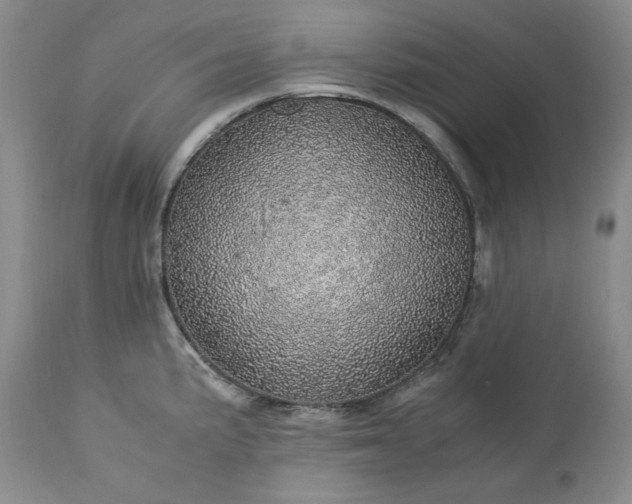 X0000113561191200910021547