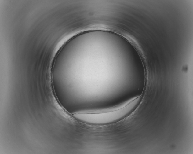 X0000113561192200910021547
