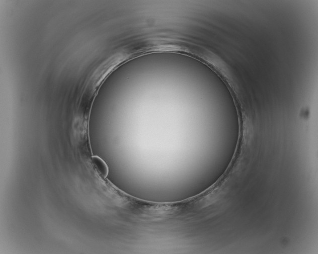 X0000113561193200910021547