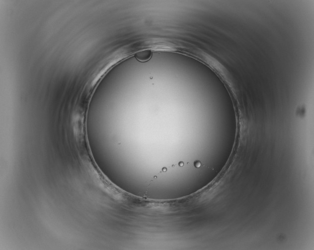 X0000113561194200910021547