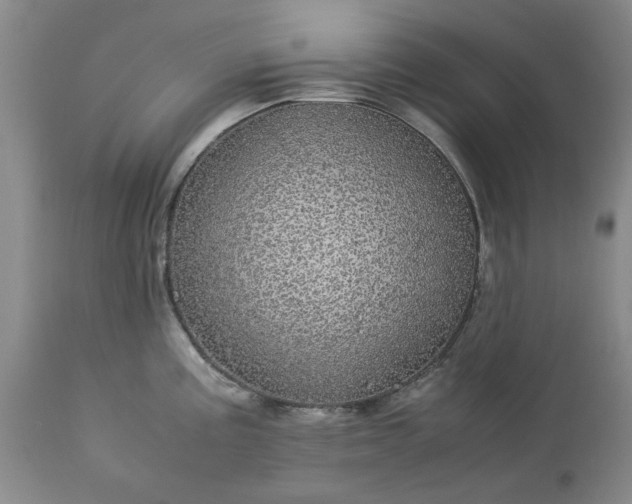 X0000113561195200910021547