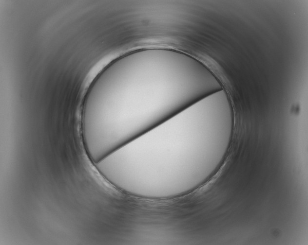 X0000113561196200910021547