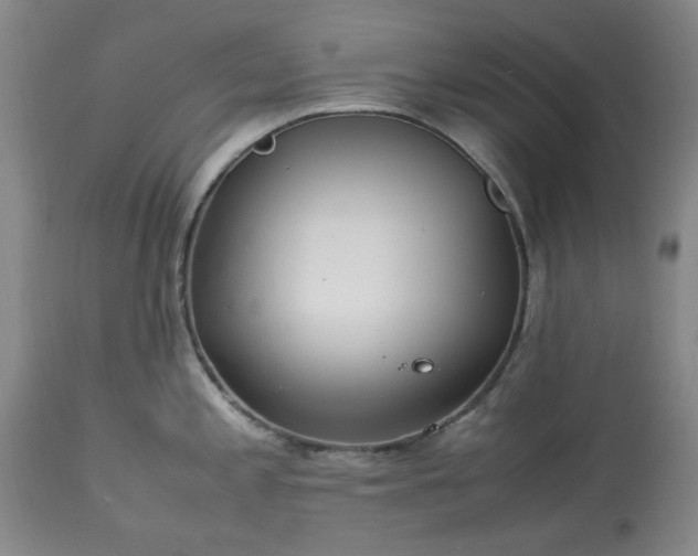 X0000113561197200910021547
