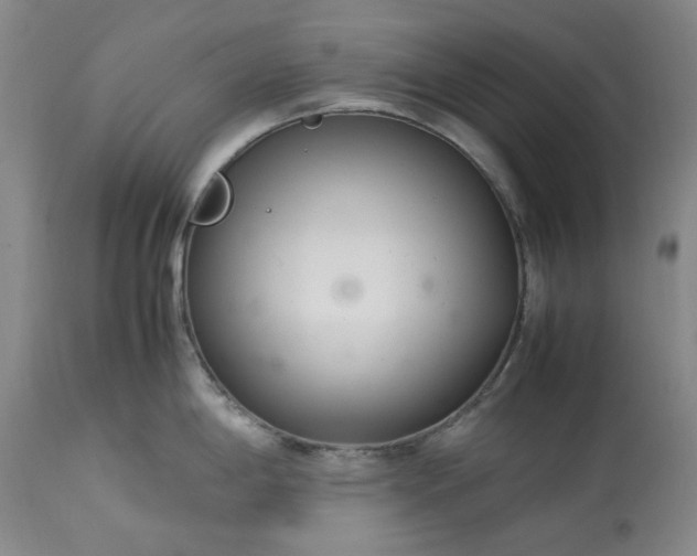 X0000113561198200910021547
