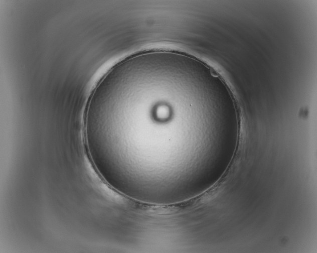 X0000113561199200910021547