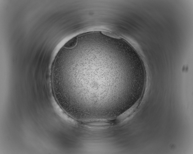 X0000113561200200910021547