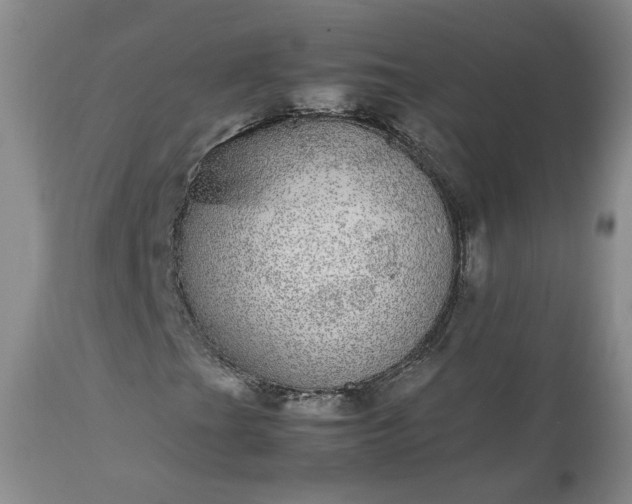 X0000113561201200910021546