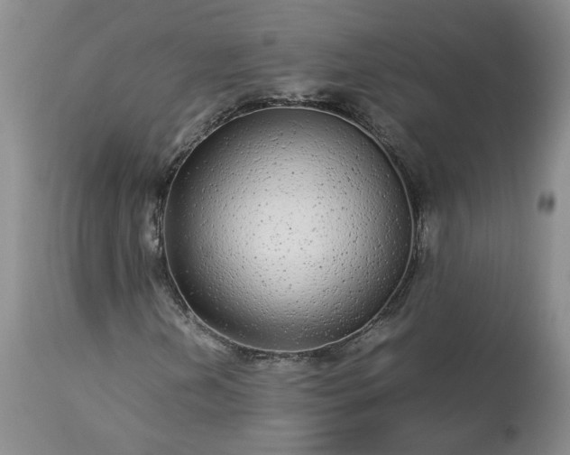 X0000113561202200910021546