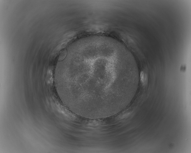 X0000113561203200910021546