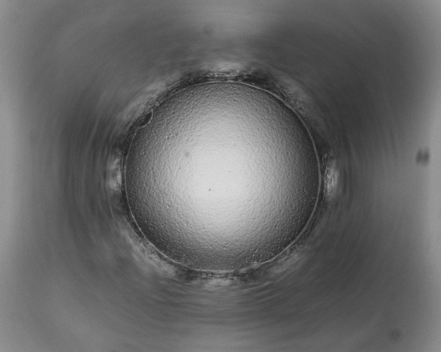 X0000113561204200910021546
