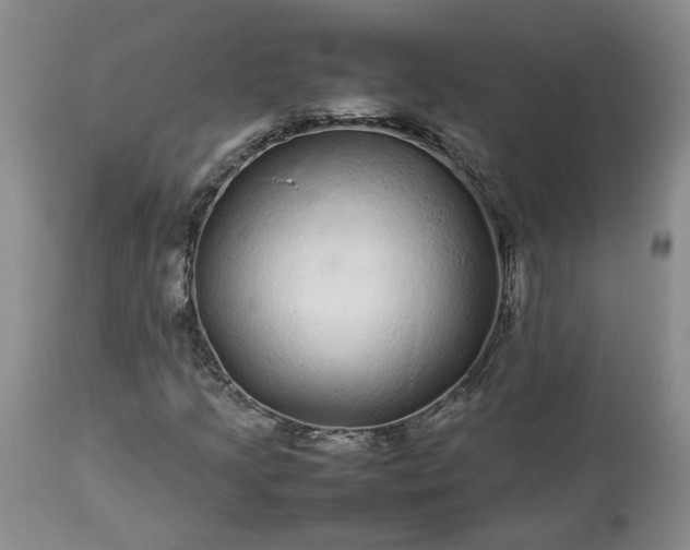 X0000113561205200910021546