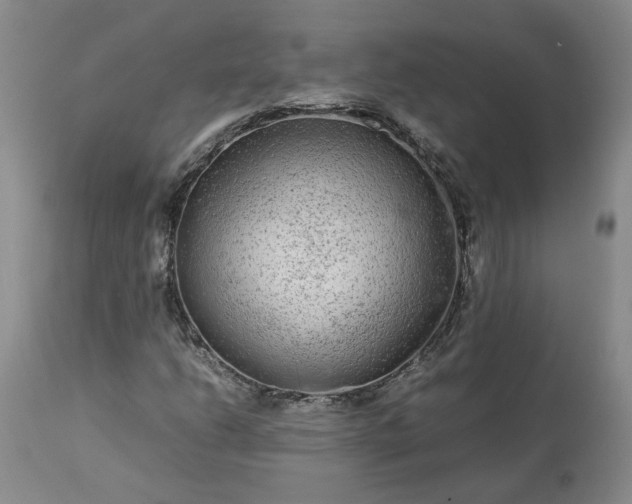 X0000113561206200910021546